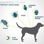 8-Month Flea and Tick Protection Collar for Dogs & Cats
