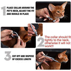 8-Month Flea and Tick Protection Collar for Dogs & Cats
