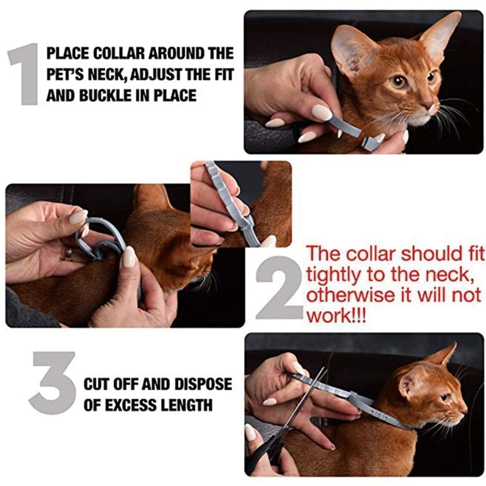 8-Month Flea and Tick Protection Collar for Dogs & Cats