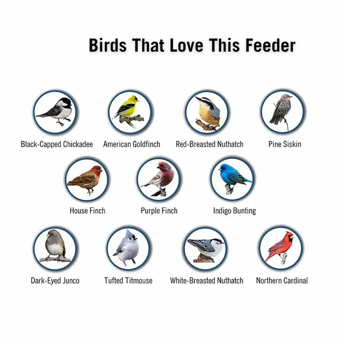 Weight-Activated Rotating Perch Bird Feeder for Gardens