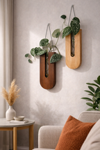 Supports Muraux pour Plantes en Bois