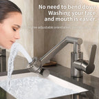 Flex-Spray Dual Mode Kitchen Faucet with 360° Swivel Arm