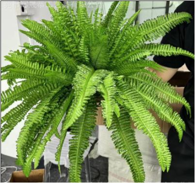 UV-Resistant Cascading Artificial Fern for Indoor and Outdoor Display