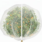 Breathable Mesh Fruit Protection Bags with Adjustable Drawstring Closure