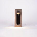 FlexiLite Adjustable LED Wall Reading Light