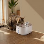 PurePaw Flow Cat Water Fountain Quiet Filtered Pet Drinking Fountain