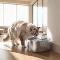 PurePaw Flow Cat Water Fountain Quiet Filtered Pet Drinking Fountain