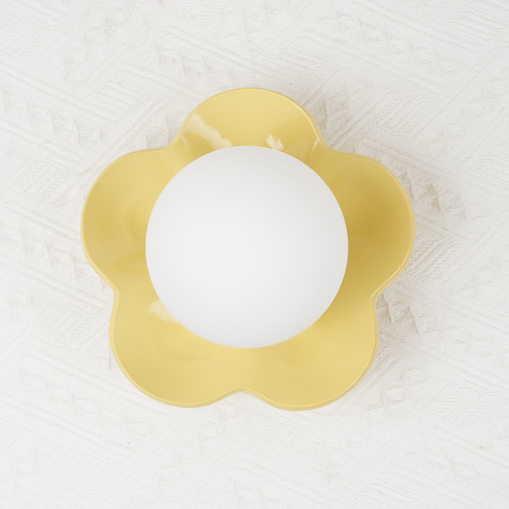 Coloured Glass Wall and Ceiling Light Fixture