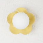Coloured Glass Wall and Ceiling Light Fixture