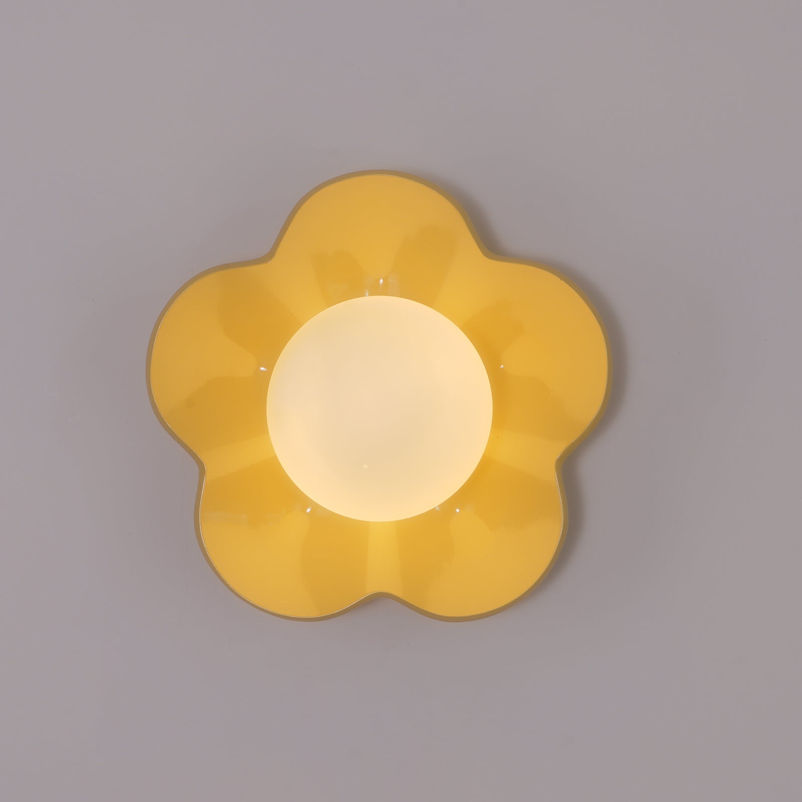 Coloured Glass Wall and Ceiling Light Fixture