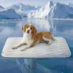 CloudRest Cozy Dog Bed with Removable Washable Cover