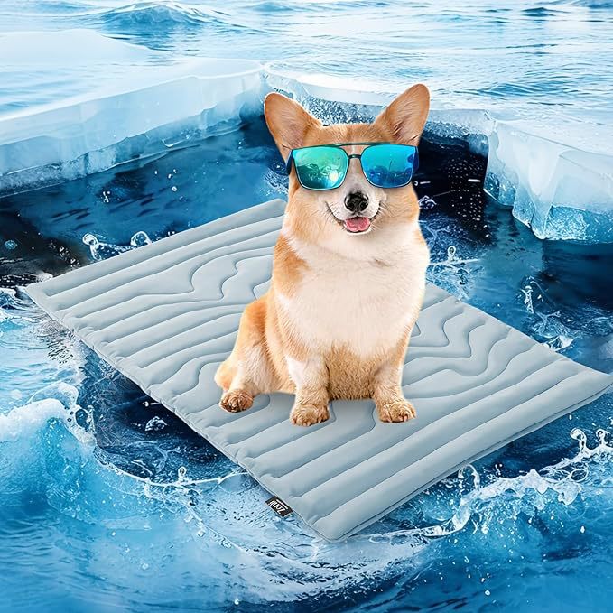 CloudRest Cozy Dog Bed with Removable Washable Cover