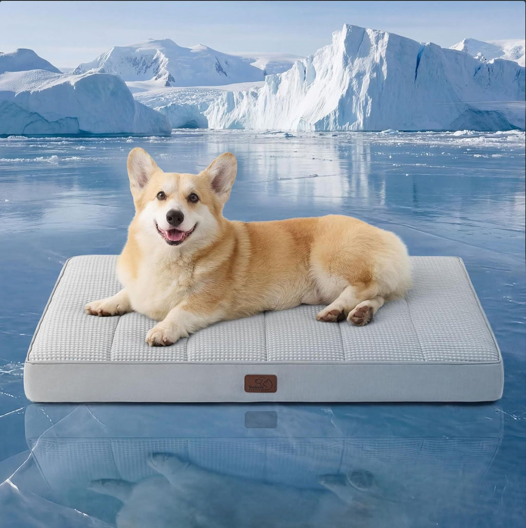 CloudRest Cozy Dog Bed with Removable Washable Cover
