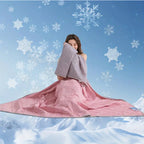 DreamHaven Quilted Comforter Reversible Soft Microfiber Blanket