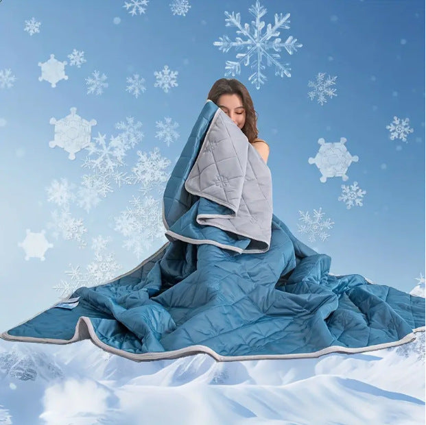 DreamHaven Quilted Comforter Reversible Soft Microfiber Blanket