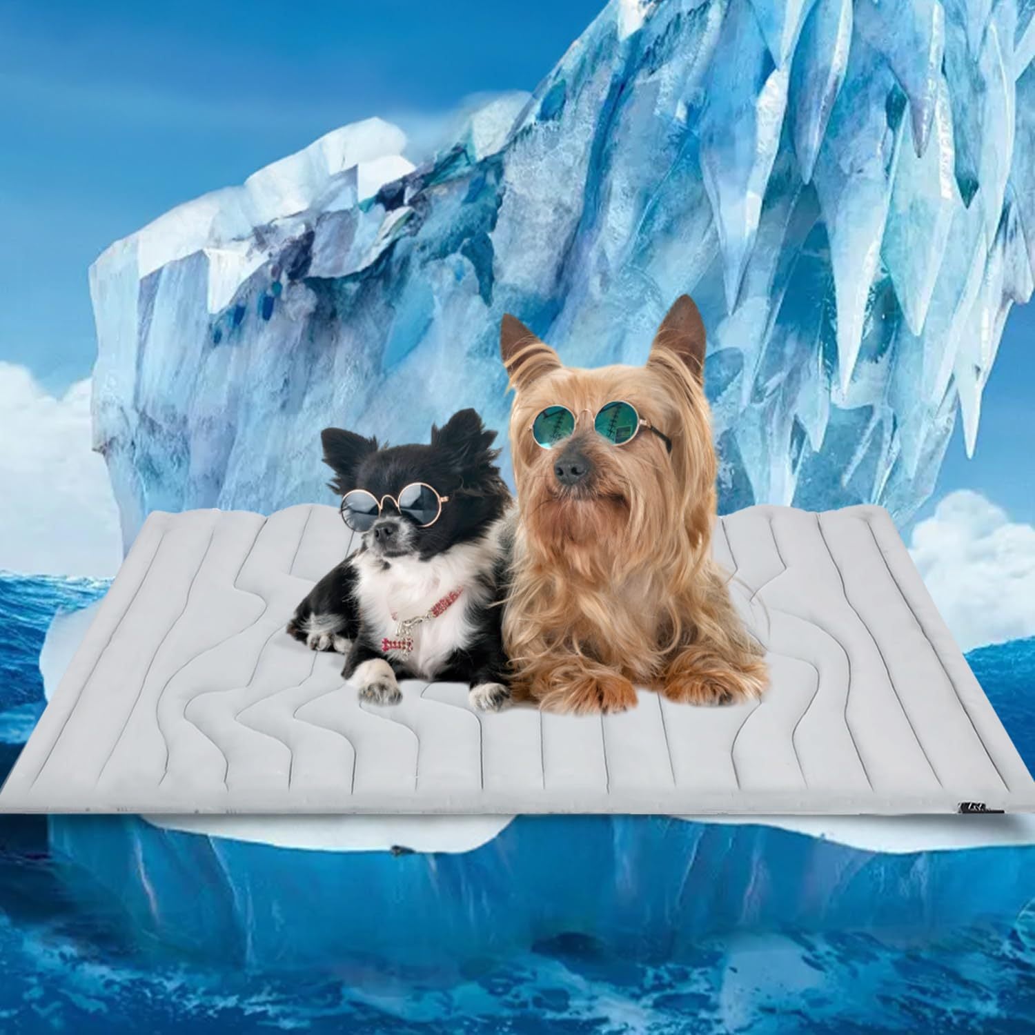 CloudRest Cozy Dog Bed with Removable Washable Cover