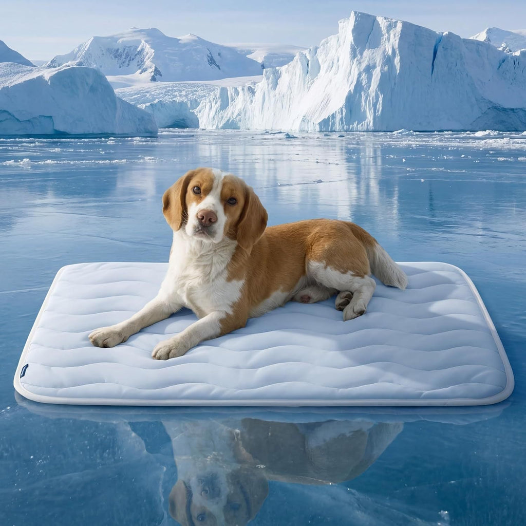 CloudRest Cozy Dog Bed with Removable Washable Cover