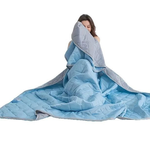 DreamHaven Quilted Comforter Reversible Soft Microfiber Blanket