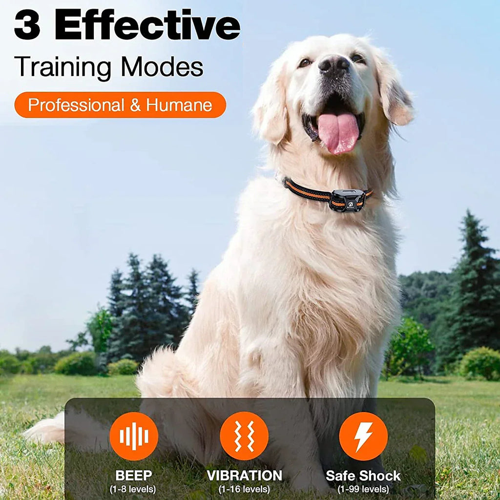 CaniGuide 1000m Rechargeable Dog Training Collar with Remote