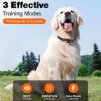 CaniGuide 1000m Rechargeable Dog Training Collar with Remote