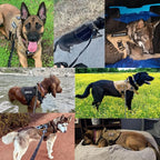 GuardianPaw Tactical Dog Harness with Handle and Adjustable Fit