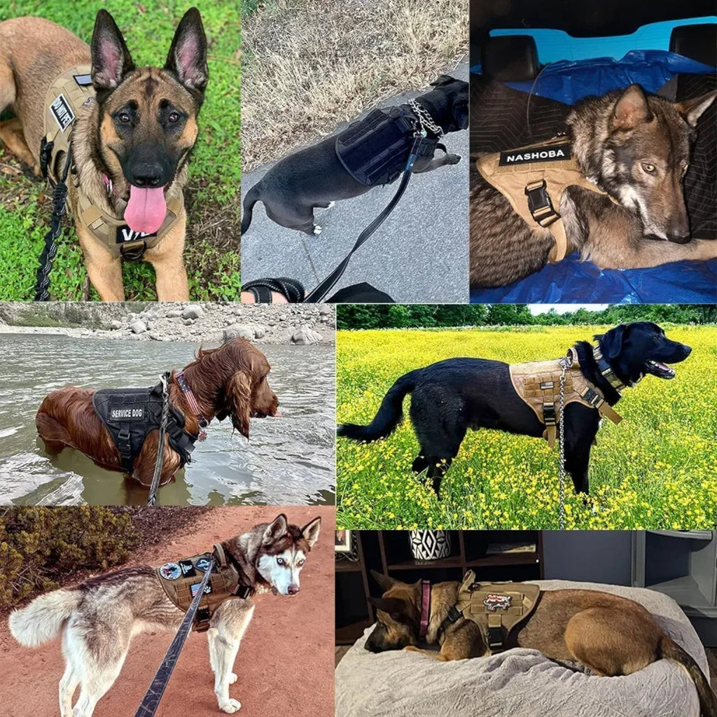 Premium Control Dog Training Harness with Quick-Release Buckle