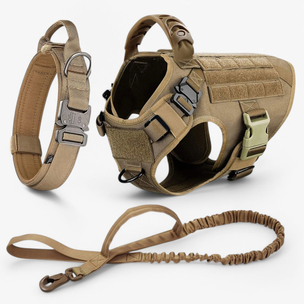Premium Control Dog Training Harness with Quick-Release Buckle