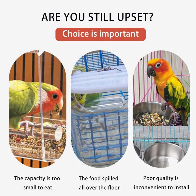 Clear Automatic Pet Bird Feeder with No-Spill Design
