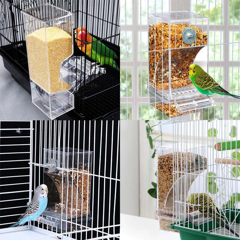 Clear Automatic Pet Bird Feeder with No-Spill Design