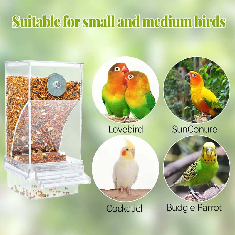 Clear Automatic Pet Bird Feeder with No-Spill Design