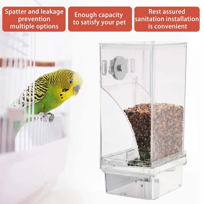 Clear Automatic Pet Bird Feeder with No-Spill Design