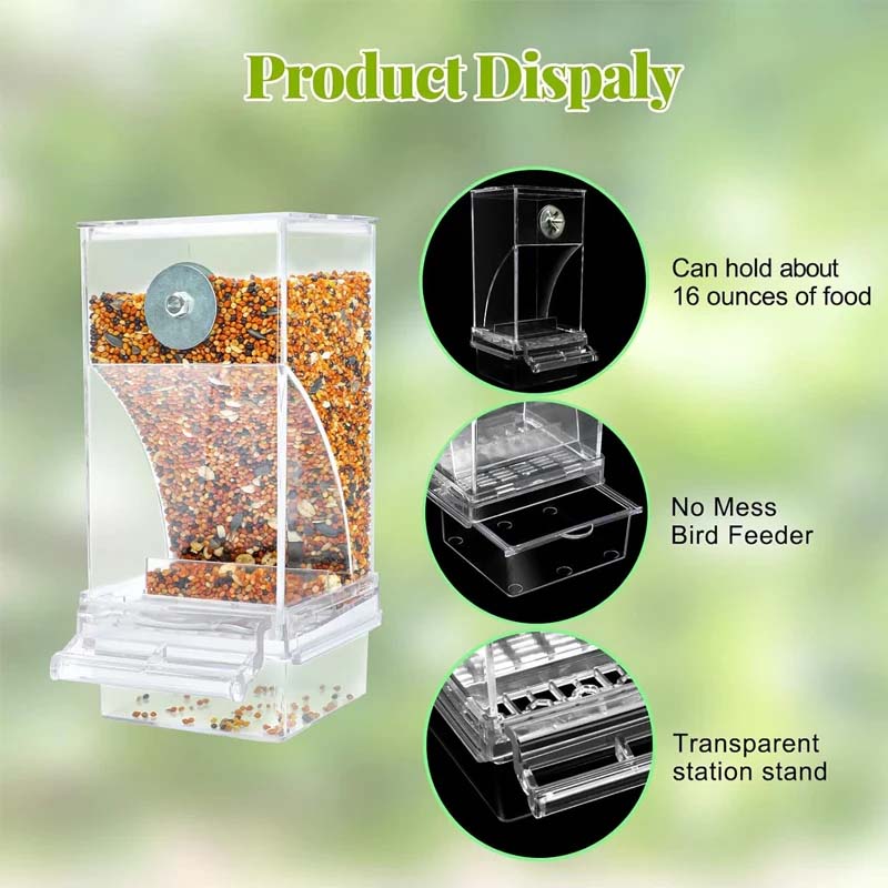 Clear Automatic Pet Bird Feeder with No-Spill Design