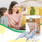 Clear Automatic Pet Bird Feeder with No-Spill Design