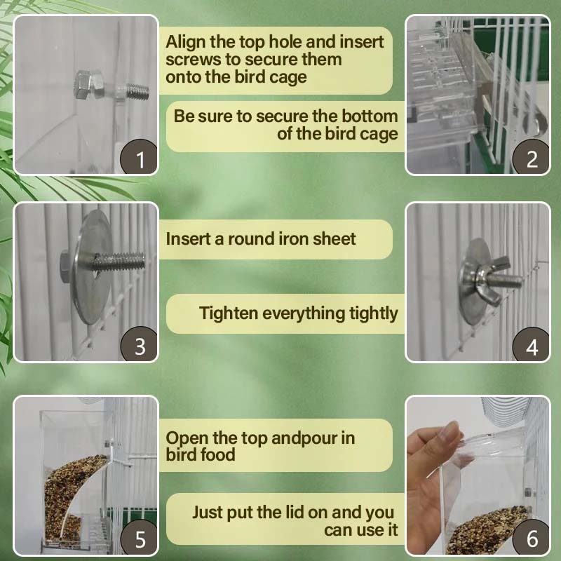 Clear Automatic Pet Bird Feeder with No-Spill Design