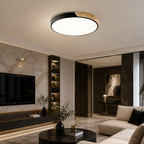 Macrolis LED Ceiling Light Nordic Style