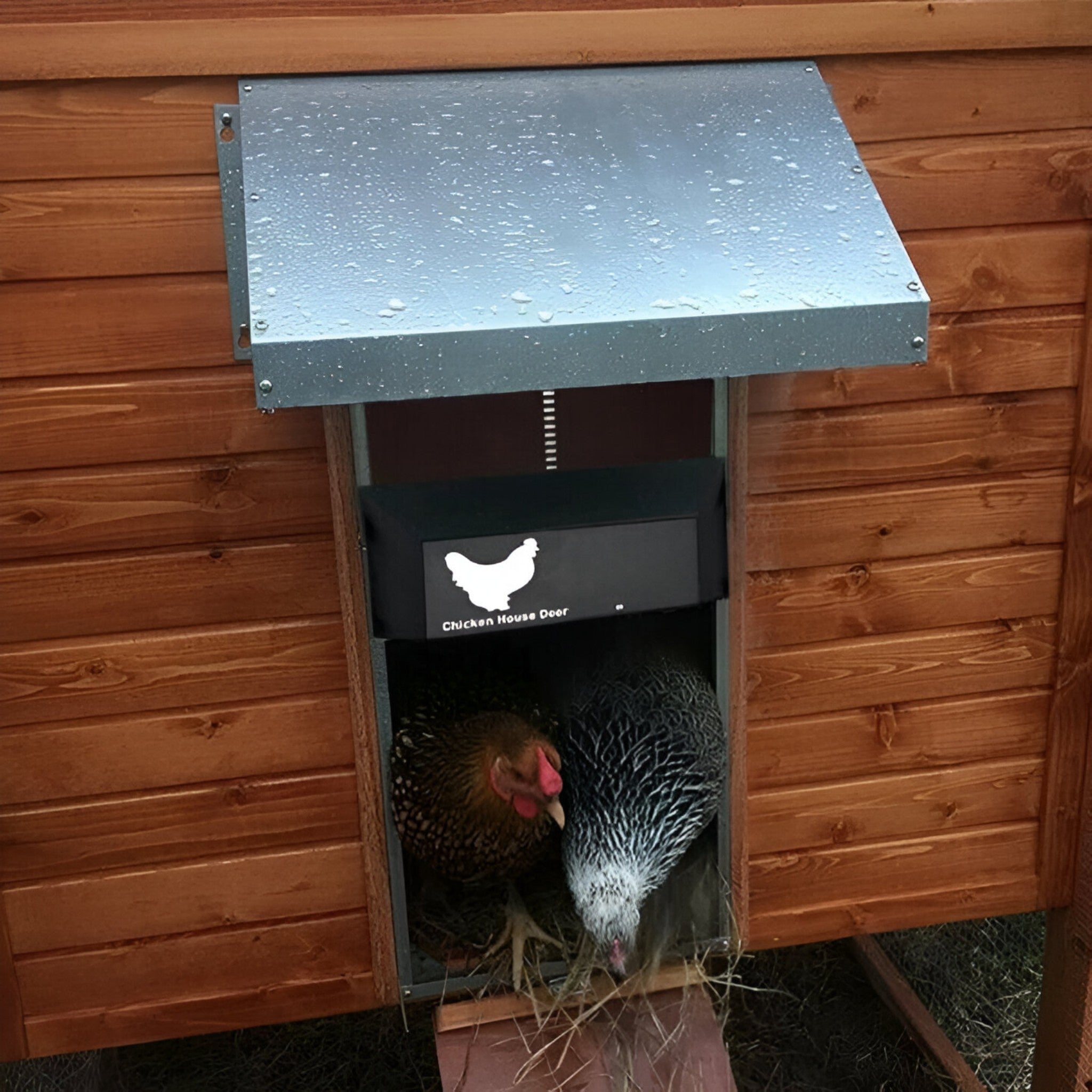 CoopGuard Automatic Chicken Coop Door with Light Sensor Control