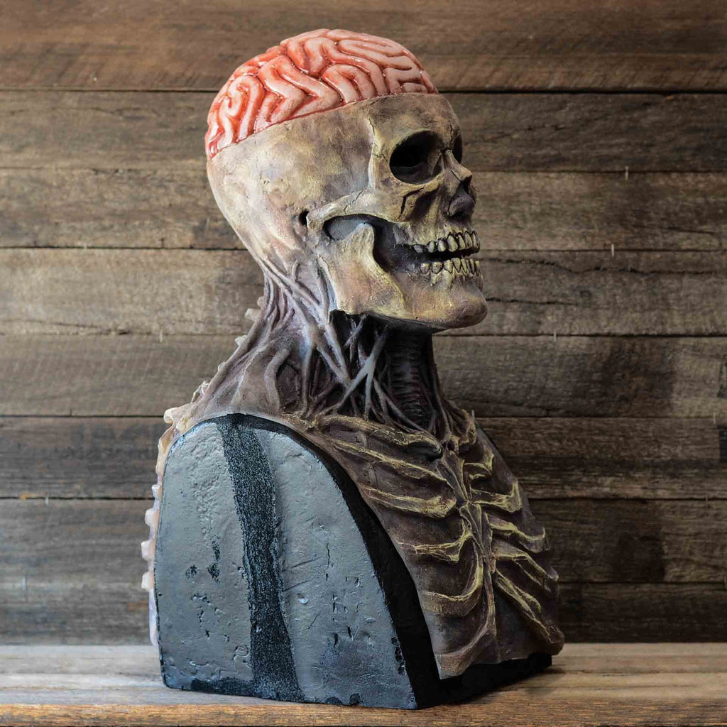 Articulated Skull Full Head Latex Mask with Movable Jaw – Halloween Costume Accessory
