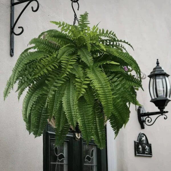 UV-Resistant Cascading Artificial Fern for Indoor and Outdoor Display
