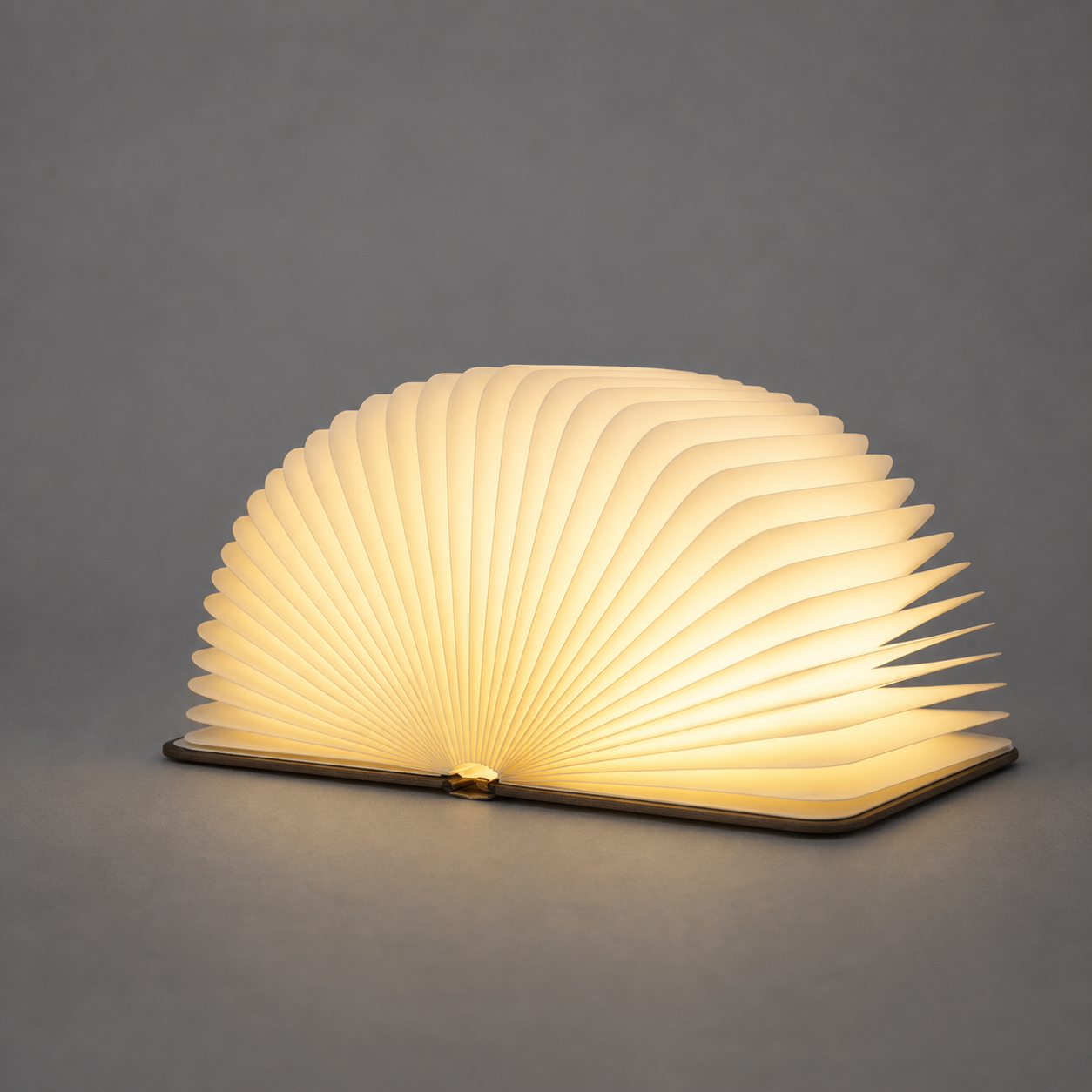 FlexiBook Lampe LED Pliable Rechargeable