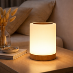 Rechargeable LED Ambient Lamp with Touch Control