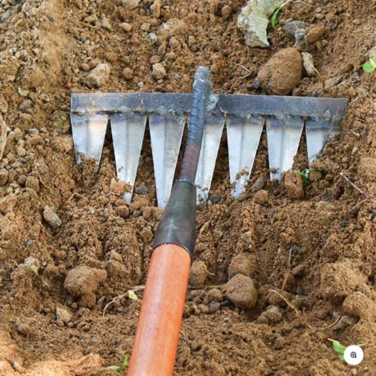 RootMaster Stainless Steel Garden Weeding Rake for Soil Cultivation
