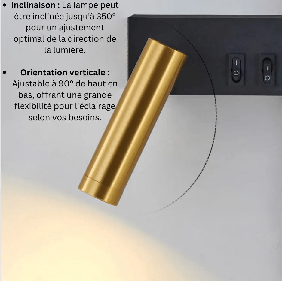 Velunis Modern LED Wall Reading Light with Double Beam