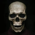 Articulated Skull Face Mask with Movable Jaw - Halloween & Cosplay Costume Accessory