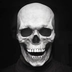 Articulated Skull Face Mask with Movable Jaw - Halloween & Cosplay Costume Accessory