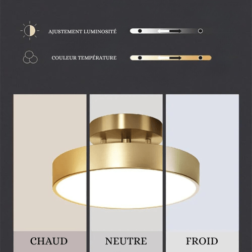 Orbéa Adjustable LED Ceiling Light Modern Minimalist Rotating