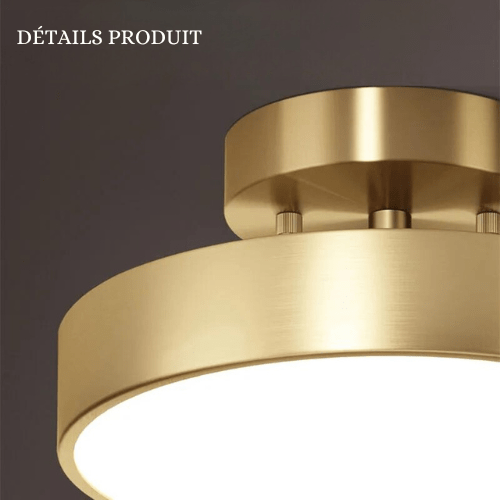 Orbéa Adjustable LED Ceiling Light Modern Minimalist Rotating