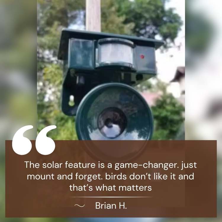 SolarGuard Motion Activated Solar Bird Deterrent for Outdoor Use